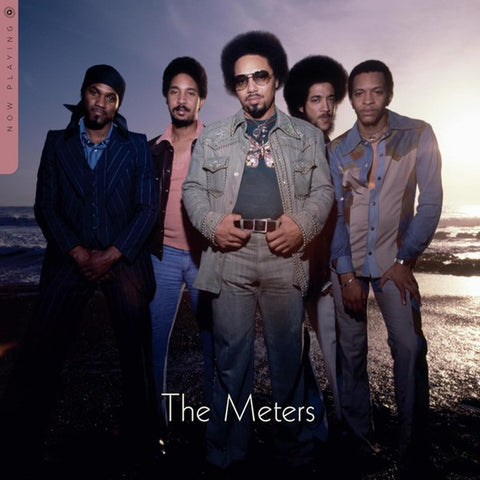 THE METERS - NOW PLAYING