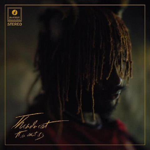 THUNDERCAT - IT'S WHAT IT IS ( COLOR LP)