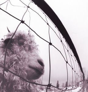 PEARL JAM - VS