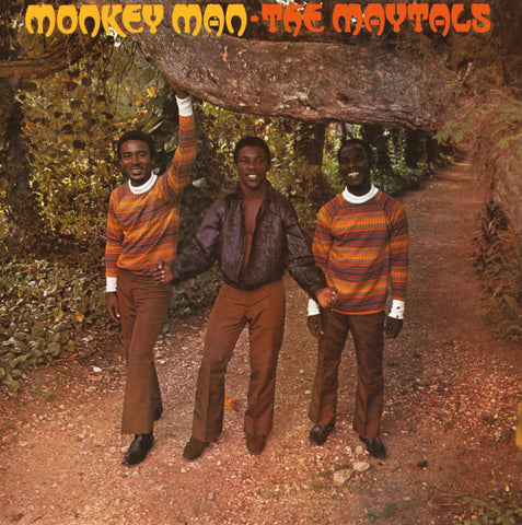 THE MAYTALS- MONKEY MAN